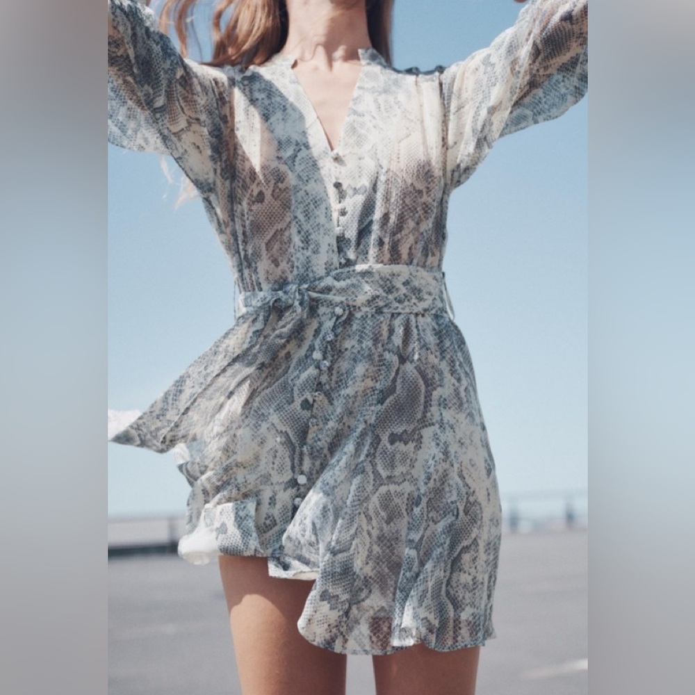 Zara Metallic Thread Animal Print Mini Dress
